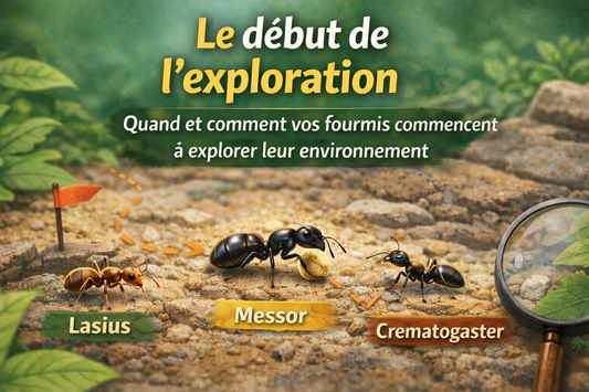 Premier nid, première aire de chasse